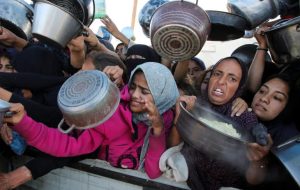 Food availability ‘at an all-time low’ across Gaza, says FAO