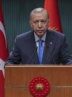 Erdogan appears to support HTS offensive 