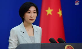 China calls for ‘political solution’ to restore stability in Syria