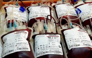 Blood donation rises by 4% in 8 months