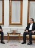 New Armenian ambassador presents credentials to Iranian FM