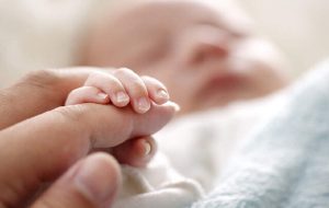 Second-born children account for over one-third of live births