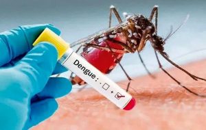 More than 940 cases of dengue fever reported