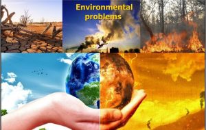 Public participation essential in environmental protection: DOE chief