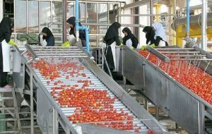 Iran invests $360m in agricultural industries, mechanization