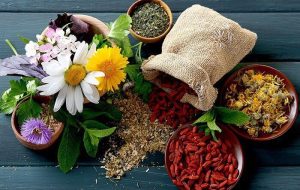 Iran ranks third in traditional medicine trials in ICTRP