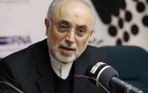 صالحی: خداوند با «نصرالله» مردم لبنان را یاری کرد