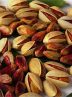 ابتکار ایران و فائو برای ارتقای سلامت و تجارت پسته