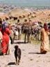 آغاز کوچ عشایر زاگرسی به مناطق ییلاقی