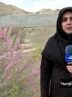 نجات رودخانه‌ها و سد‌ها با آبخیزداری