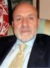 داودزی: نظام ریاست جمهوری به افغانستان تحمیل شده بود