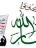 تاکید انصارالله بر شکست مفتضحانه آمریکا در یمن