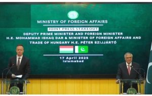 پاکستان: تهدید تروریسم از افغانستان به اروپا سرایت می کند پاکستان: تهدید تروریسم از افغانستان به اروپا سرایت می کند