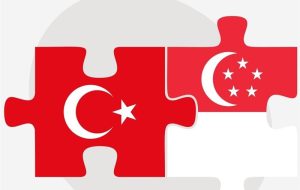 مقایسه وضعیت سیاسی در ترکیه و سنگاپور به روایت حقوقدان ترک مقایسه وضعیت سیاسی در ترکیه و سنگاپور به روایت حقوقدان ترک