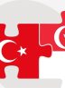 مقایسه وضعیت سیاسی در ترکیه و سنگاپور به روایت حقوقدان ترک