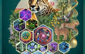 Iran among countries rich in genetic reserves