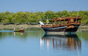 Soheili mangrove forest: a harmony of community and conservation Soheili mangrove forest: a harmony of community and conservation