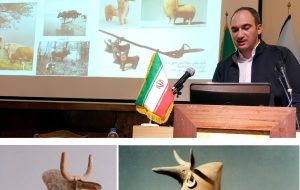 Herding and hunting: National Museum study paints picture of Iron Age life Herding and hunting: National Museum study paints picture of Iron Age life