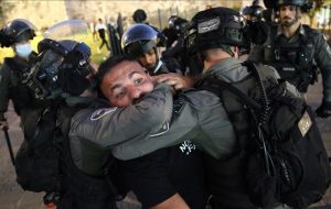 Israel has detained 49 Palestinian journalists since 7 October Israel has detained 49 Palestinian journalists since 7 October
