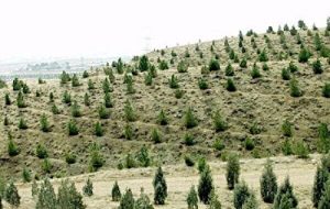 طرح موفق بیابان‌زدایی به ۸.۸ میلیون هکتار از اراضی کشور