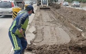 وقتی نهال ها به سرقت می روند/بی توجهی به فضای سبز در زابل وقتی نهال ها به سرقت می روند/بی توجهی به فضای سبز در زابل