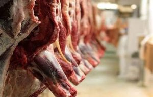تفحص از واردات گوشت قرمز با 6 محور کلید خورد تفحص از واردات گوشت قرمز با 6 محور کلید خورد