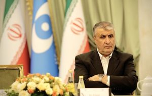 اسلامی: آژانس در سال 2024 بیش از 450 بازرسی انجام داد