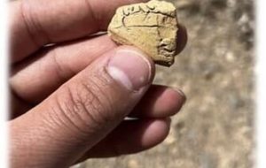 Sassanid pottery fragment discovered in Isfahan province Sassanid pottery fragment discovered in Isfahan province