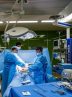 ‘Organ Donation, Life Donation’ week to be marked