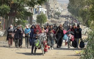 Israel expects 50% of Gazans to flee during full-scale assault Israel expects 50% of Gazans to flee during full-scale assault