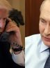 After Trump call, Putin says ready to work on truce memorandum After Trump call, Putin says ready to work on truce memorandum