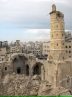WAC issues urgent statement on Gaza cultural heritage crisis