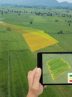 Agriculture Ministry launches smart farming system in 3rd year of crop pattern reform Agriculture Ministry launches smart farming system in 3rd year of crop pattern reform