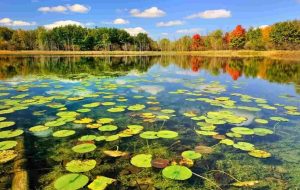 Iran marks May 21 as “National Day of Ecotourism” Iran marks May 21 as “National Day of Ecotourism”