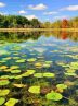 Iran marks May 21 as “National Day of Ecotourism” Iran marks May 21 as “National Day of Ecotourism”