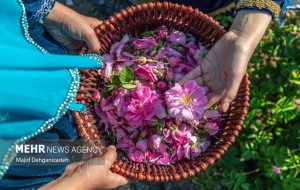 Gildeh, village of rose and rosewater