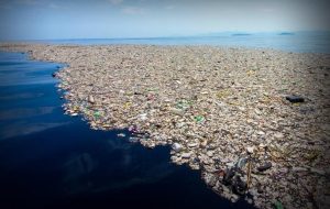 Nations to gather in France to tackle global emergency in oceans