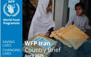 WFP releases April report on Iran WFP releases April report on Iran