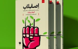  تلاقی سیاست و ناجنبش – خبرآنلاین