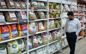 احتمال افزایش ۳۰ درصدی قیمت برنج/ چرا دولت در تنظیم بازار برنج تعلل میکند؟ احتمال افزایش ۳۰ درصدی قیمت برنج/ چرا دولت در تنظیم بازار برنج تعلل میکند؟