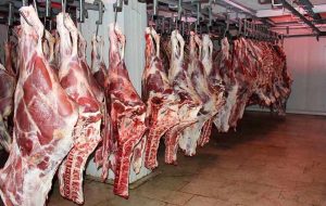 وقتی مسئولان نه از بازار خبر دارند و نه از آمار/ مزد روزانه کارگران پول ۳۰۰ گرم گوشت قرمز وقتی مسئولان نه از بازار خبر دارند و نه از آمار/ مزد روزانه کارگران پول ۳۰۰ گرم گوشت قرمز