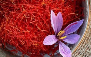 یک کیلو زعفران پوشال چند؟ یک کیلو زعفران پوشال چند؟