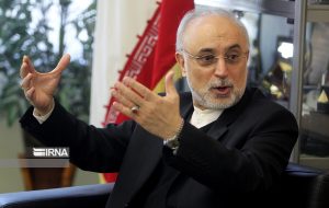 صالحی: ایران به دنبال مذاکره برد-برد است