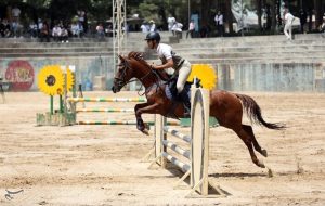 5 آذر؛ تاریخ برگزاری انتخابات فدراسیون سوارکاری