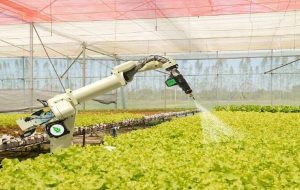 برداشت خودکار محصول در مزارع با هوش مصنوعی