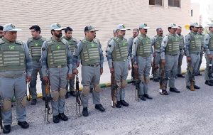 دانش و حضور میدانی لازمه حفاظت از جنگل‌های هیرکانی