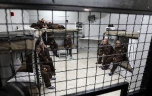 Prisoners’ group: More than 11,100 Palestinians held in Israeli jails