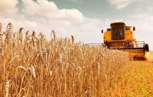خبر مهم درباره مطالبات گندم‌کاران
